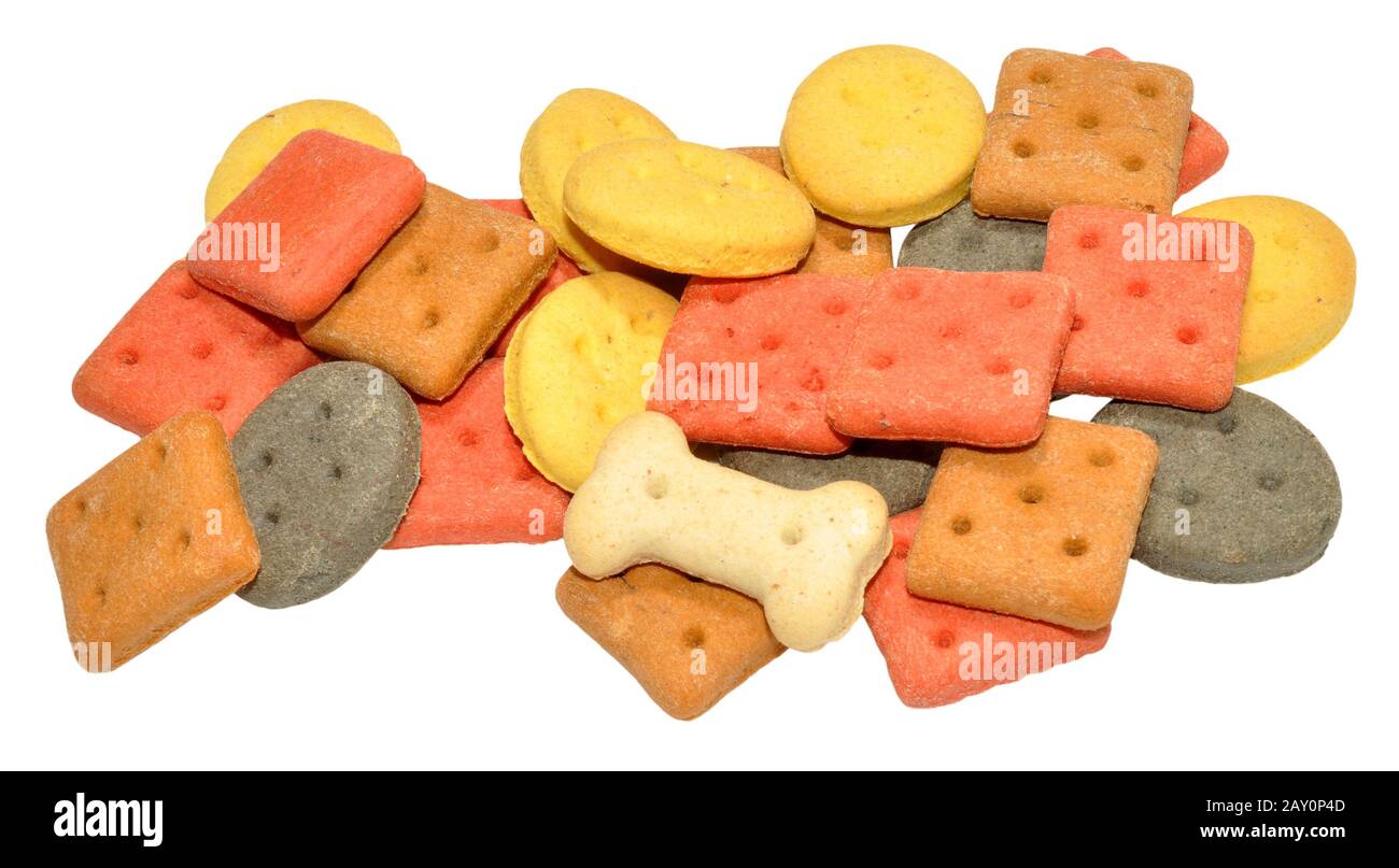 Group of crunchy dog biscuit shapes isolated isolated on a white