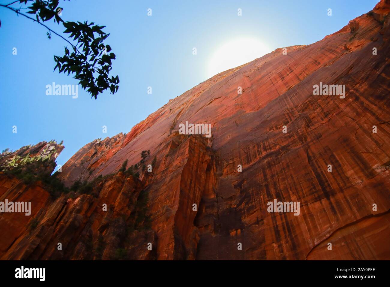 Huge red rocks in Zion Canyon National Park, Utah. USA. Wide shot, low angle, Sun. Hiking adventures, traveling, rocks. Stock Photo