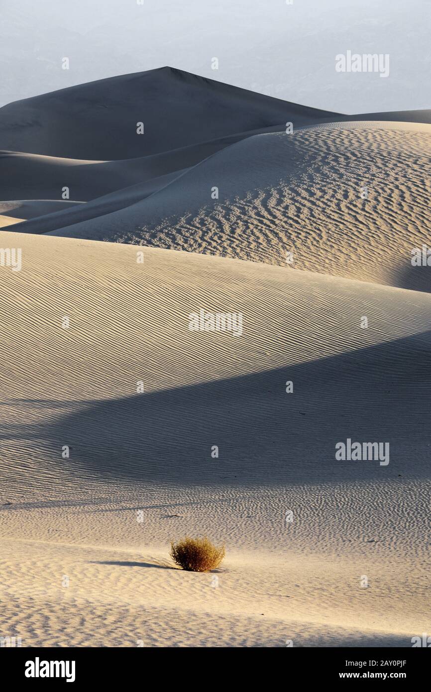 Mesquite Flat Dunes, at sunrise, Death Valley National Park Stock Photo