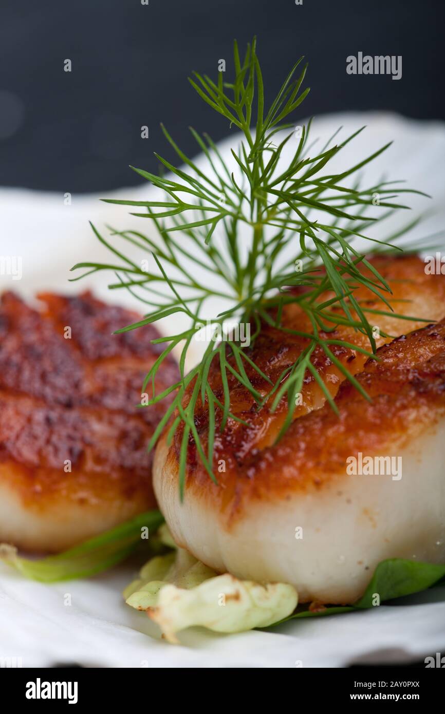 Grilled scallops with dill in their shell Stock Photo Alamy