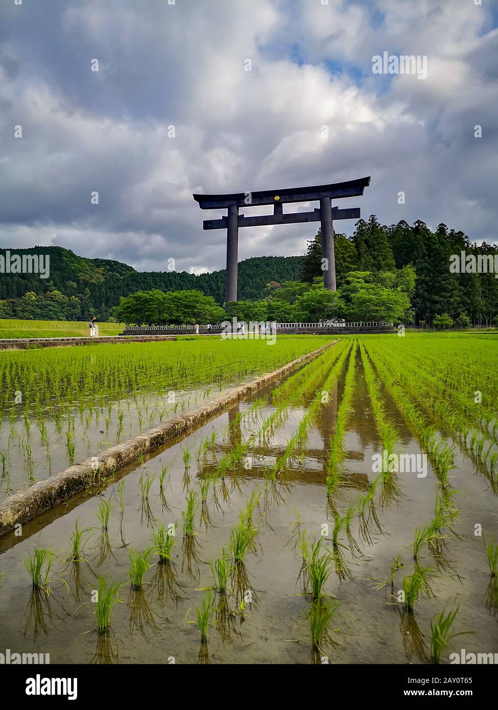 The world's largest torii gate at the entrance of the sacred site of the Kumano Hongu Taisha on the Kumano Kodo pilgrimage trail in Wakyama, Japan Stock Photo