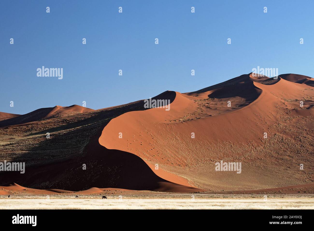 Namib Wueste, Namibia Stock Photo