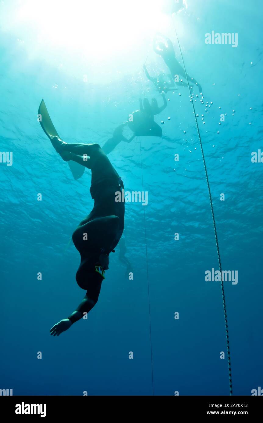 Freediver started his dive down to the depth Stock Photo