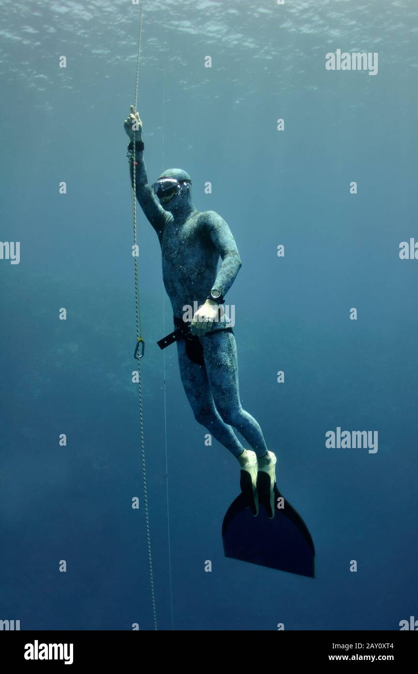 Freediver raises from the depth by rope Stock Photo