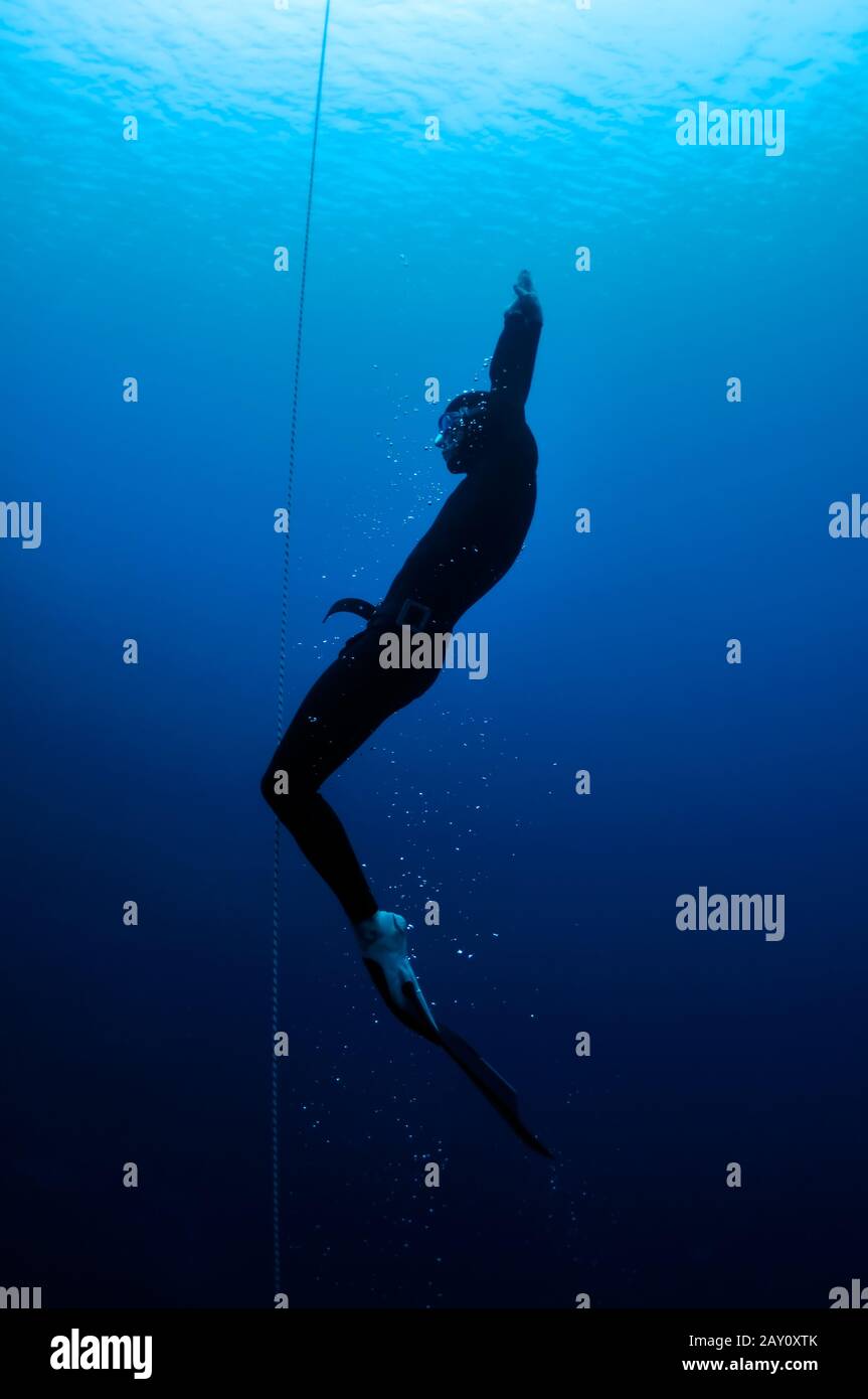 Freediver moves out of the depth Stock Photo