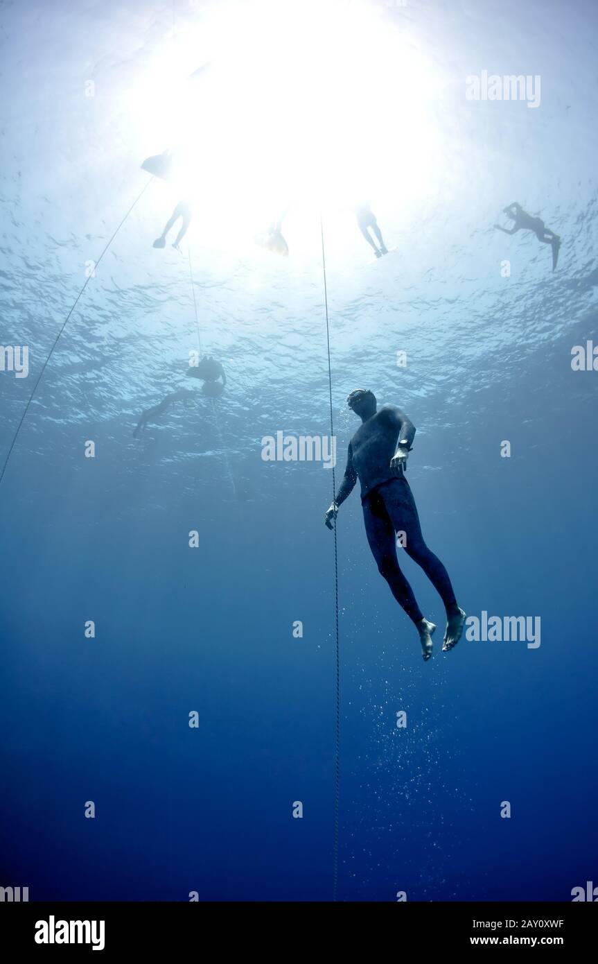 Freediver makes preparation dive near the safety l Stock Photo