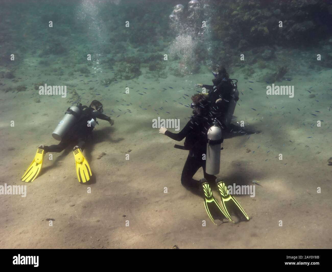 Three divers are training at the sea bottom Stock Photo