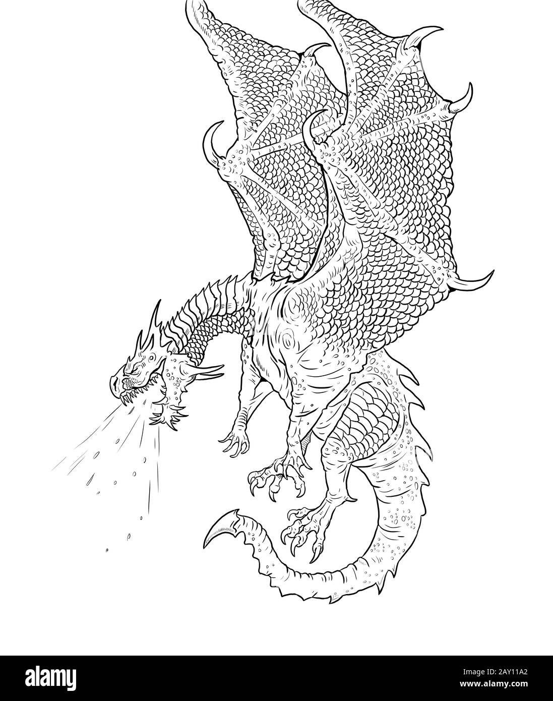 dragon coloring page outline illustration dragon drawing coloring sheet stock photo alamy