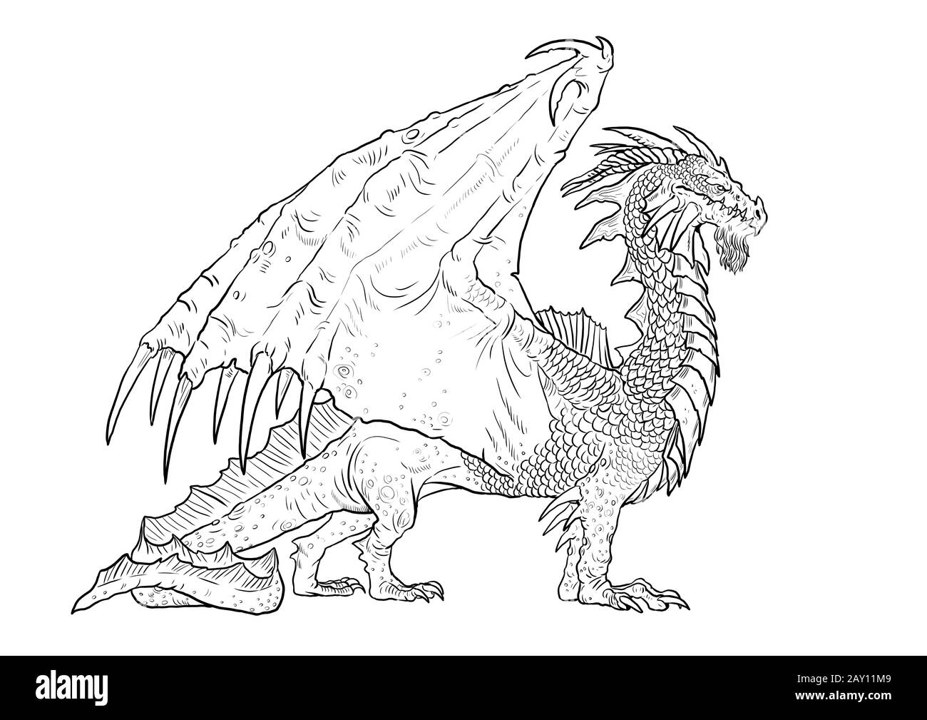 Dragon coloring page. Outline illustration. Dragon drawing coloring sheet. Stock Photo