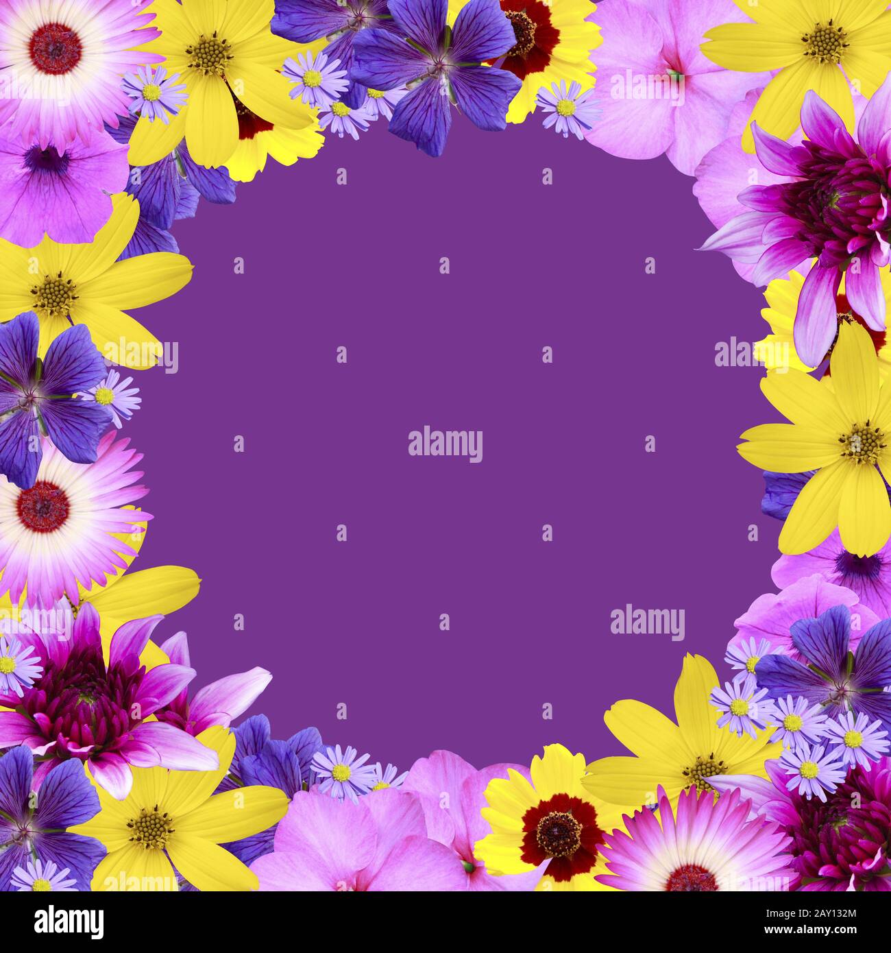 Flower edging Stock Photo