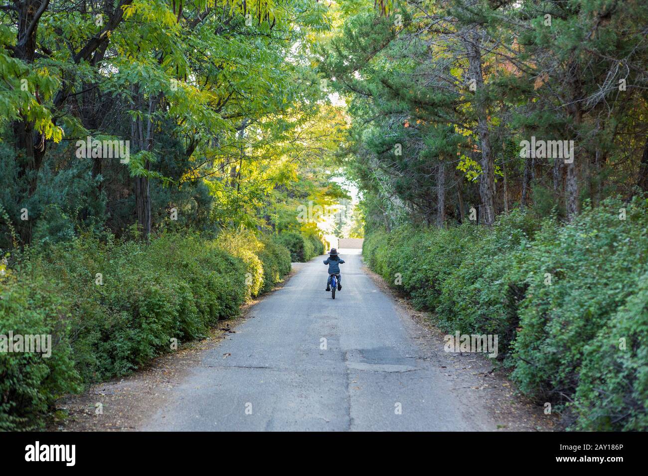 rear view of young boy riding his bike down country road Stock Photo
