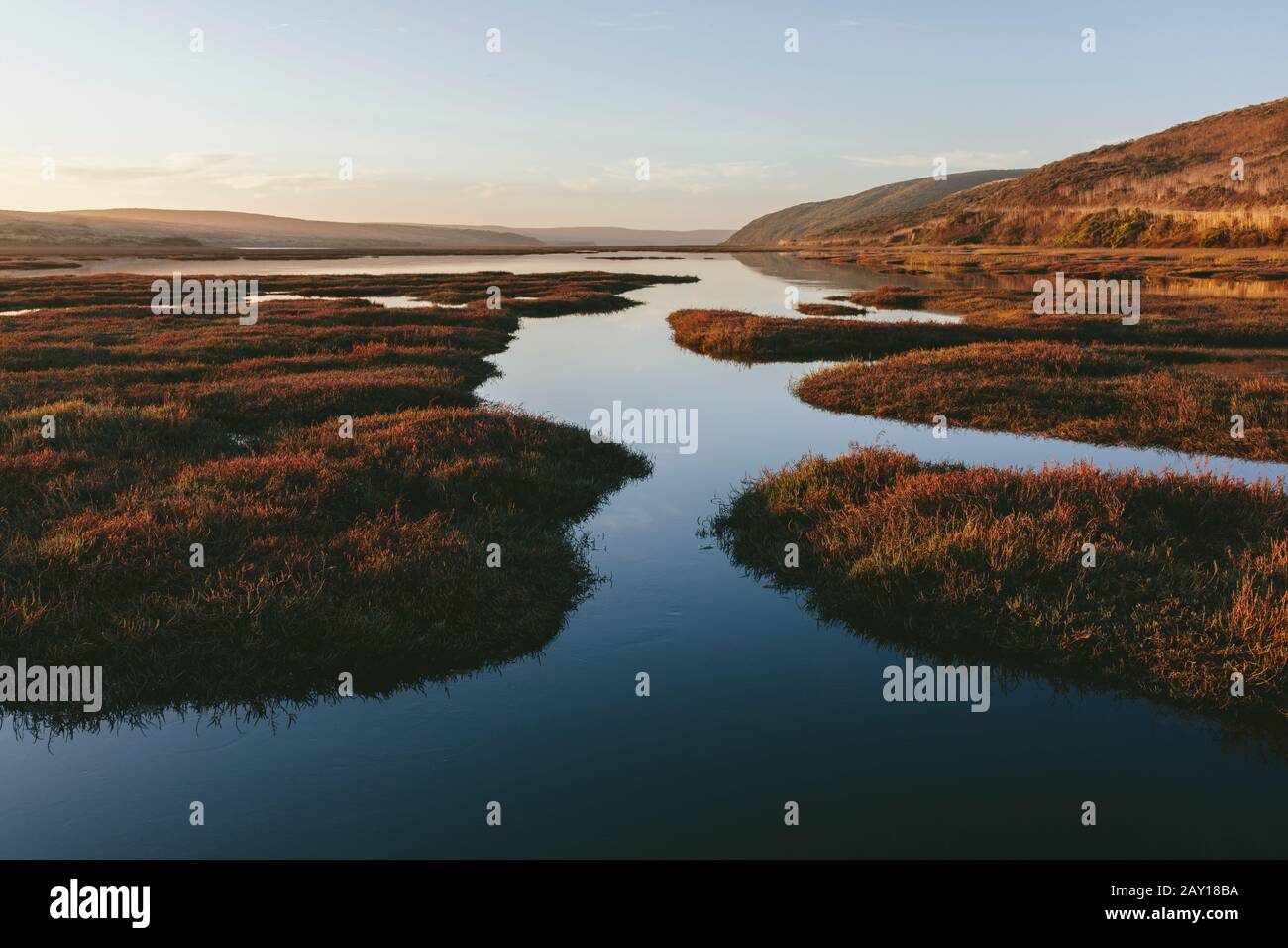 Intertidal estuary hi-res stock photography and images - Alamy