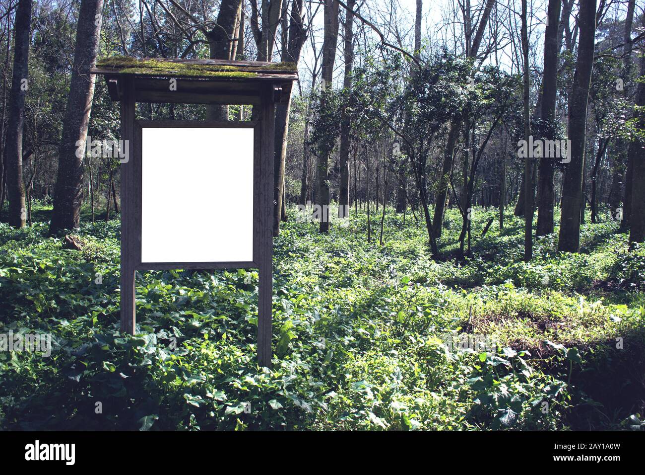 Information board with space for text or logo in the middle of a fresh ...