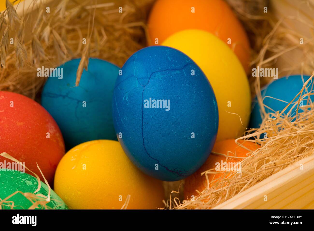 Multicolored Easter eggs in a nest . close up Stock Photo