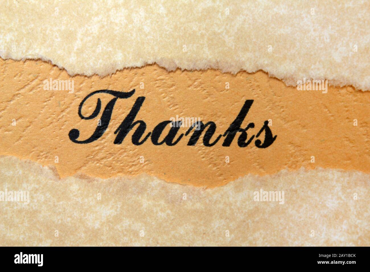 Thank you concept Stock Photo - Alamy