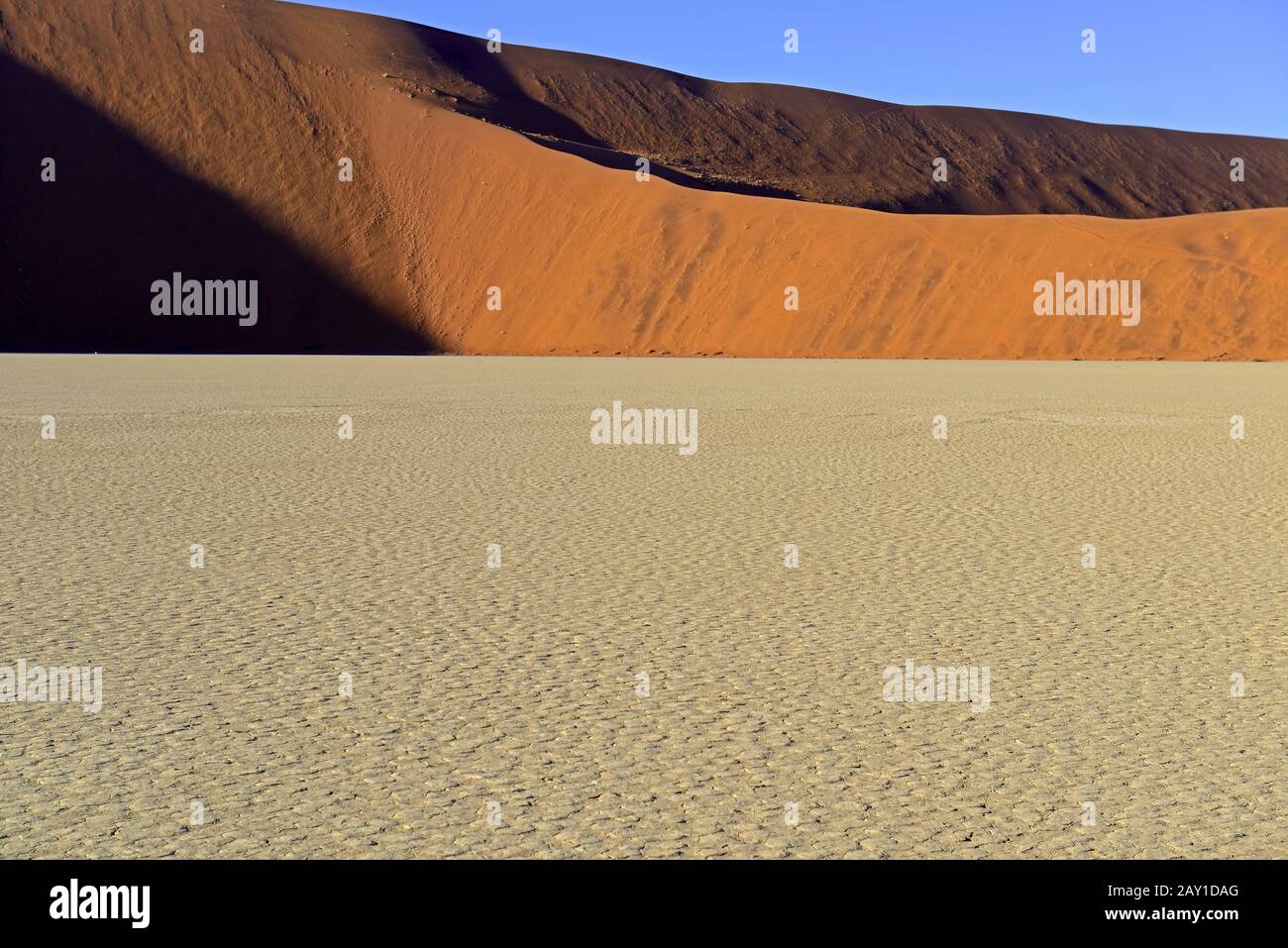 Wideness, dunes and clay soil of Deadvlei, Dead Vlei in the morning d Stock Photo