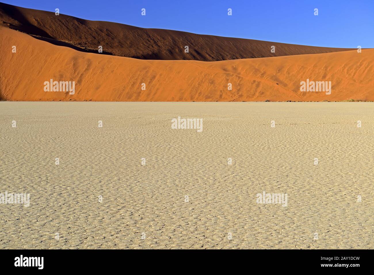 Wideness, dunes and clay soil of Deadvlei, Dead Vlei in the morning d Stock Photo