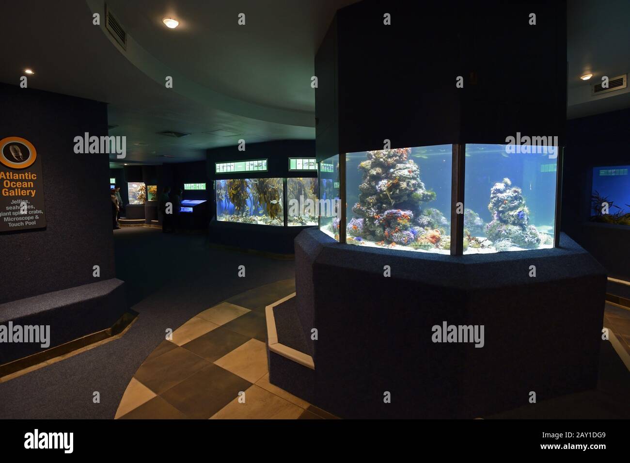 Interior view of 2 Ocean Aquarium, Cape Town, West Cape, Western Stock
