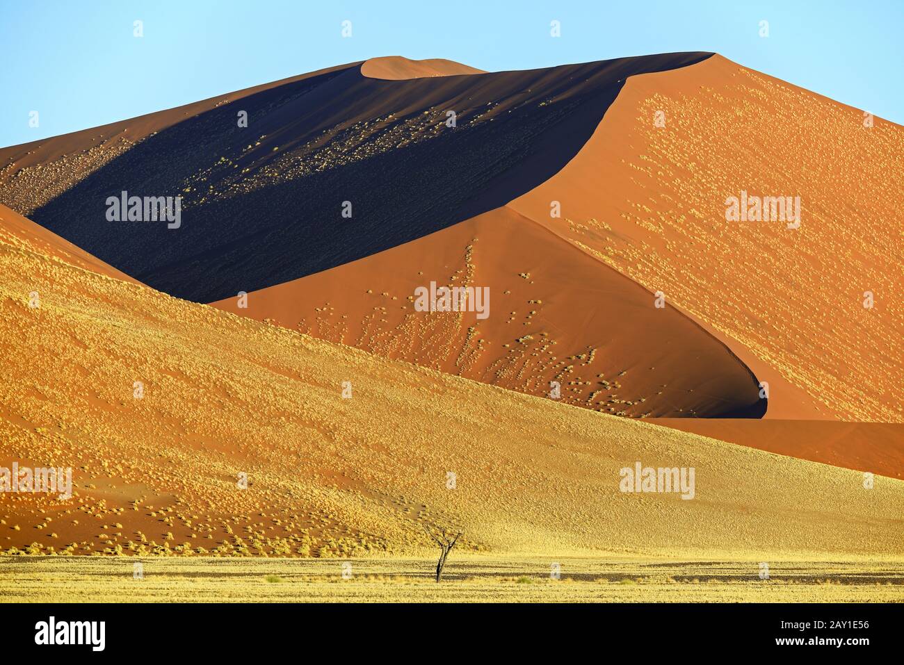 huge sand dunes in the last evening light, Namib Naukluft Nation Stock Photo