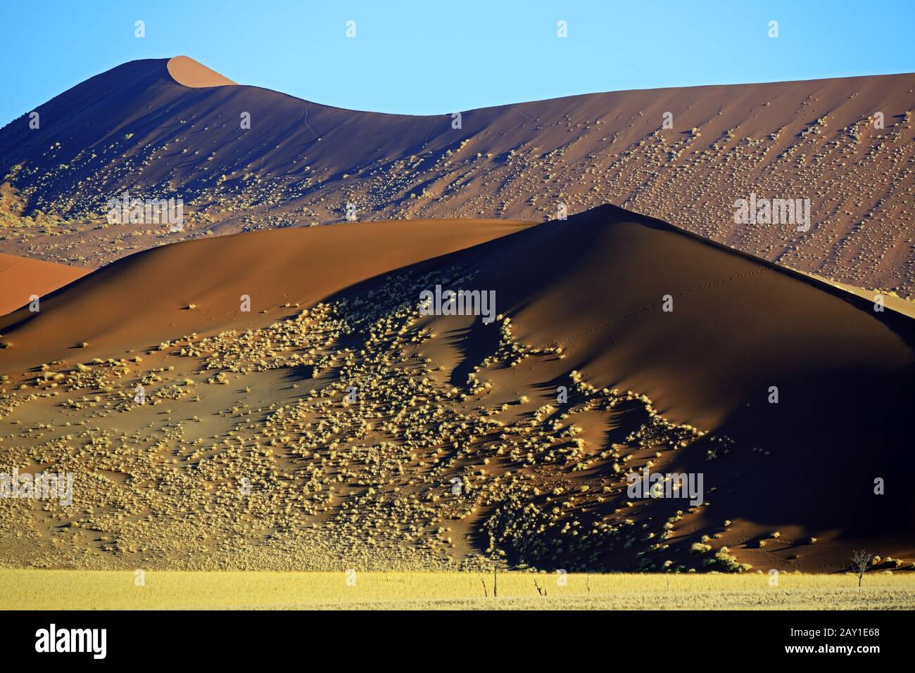 huge sand dunes in the last evening light, Namib Naukluft Nation Stock Photo