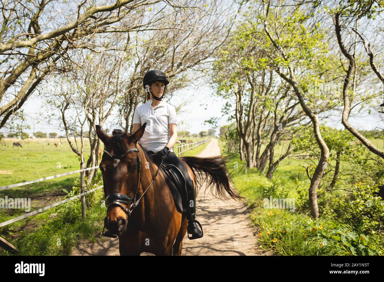 Caucasian woman riding her horse through a path Stock Photo