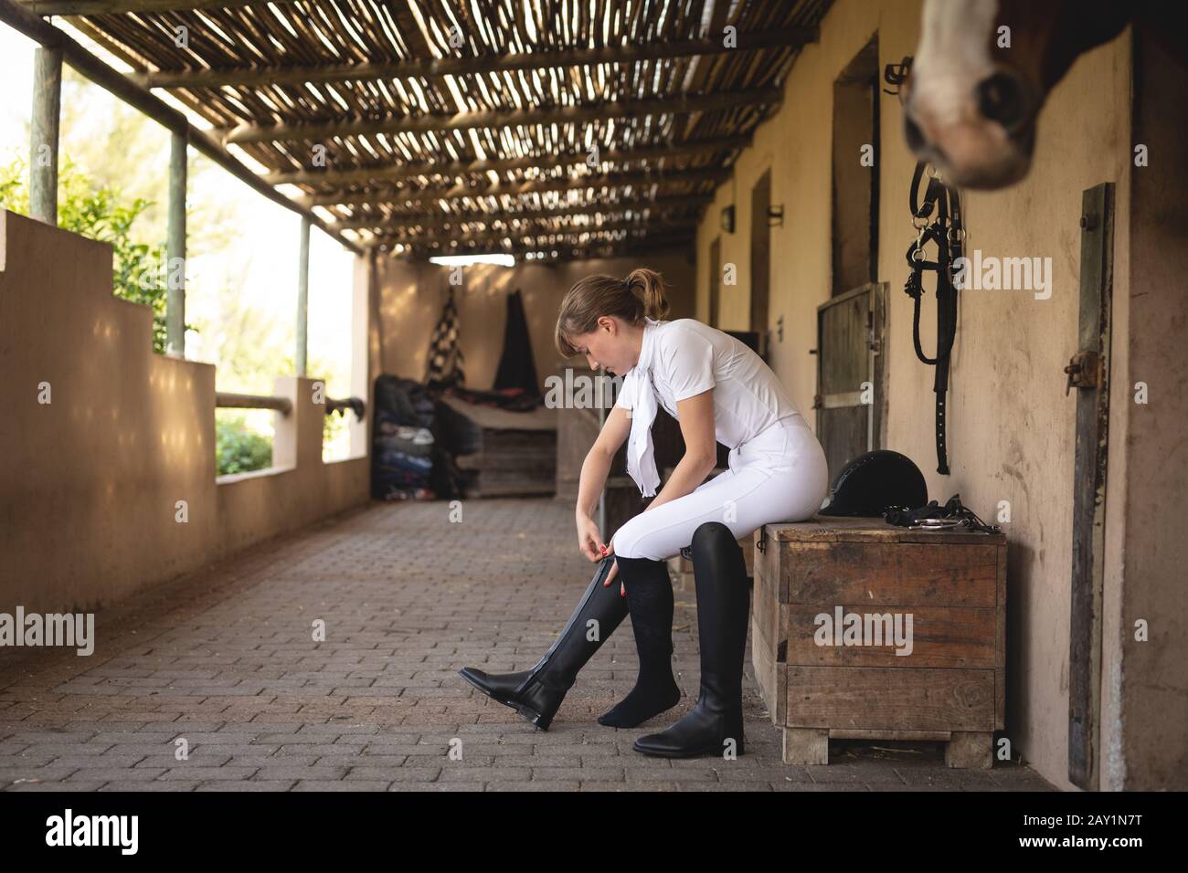 Caucasian woman putting on her dressage boots Stock Photo Alamy