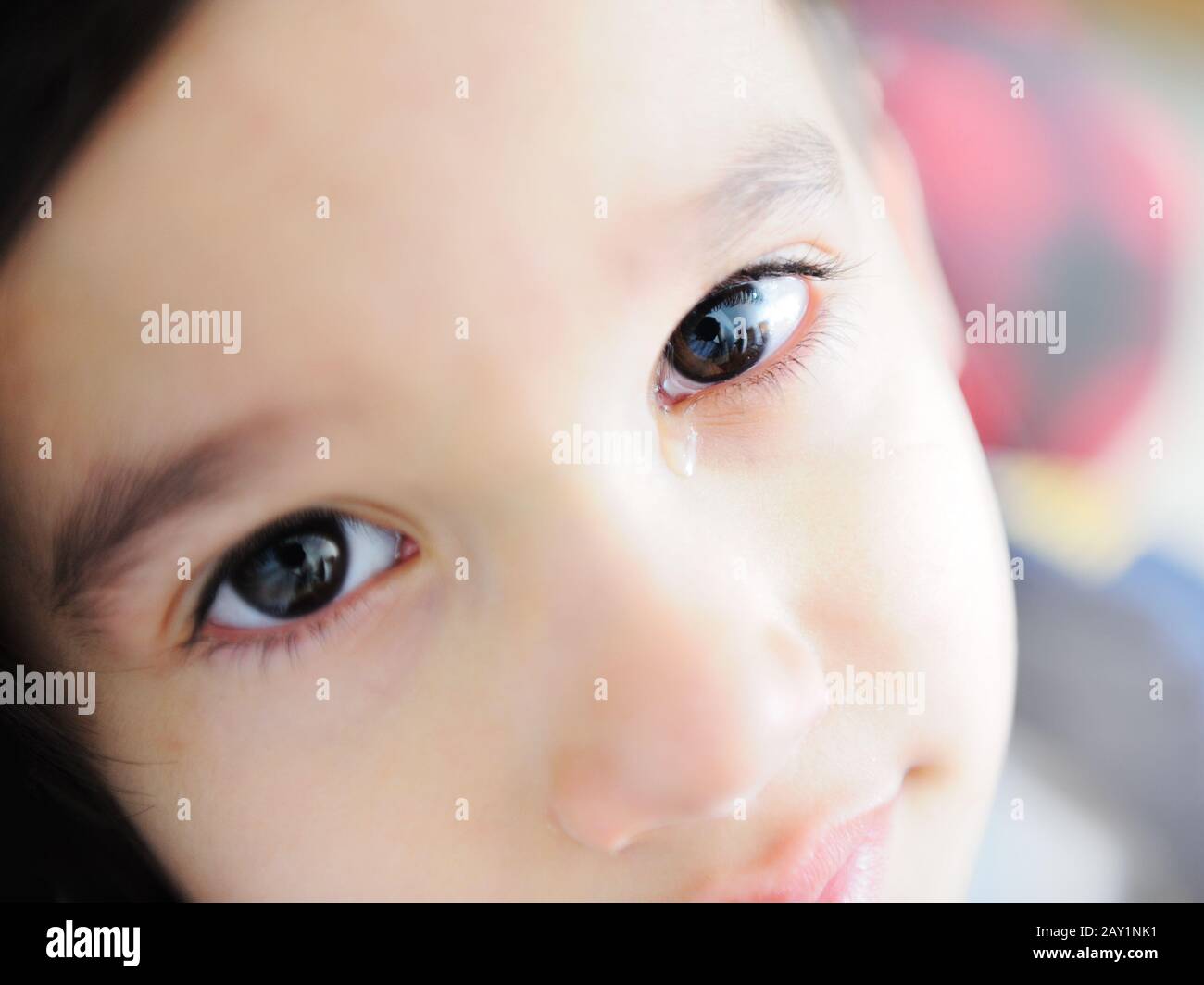 Photo of adorable young boy looking at camera Stock Photo - Alamy