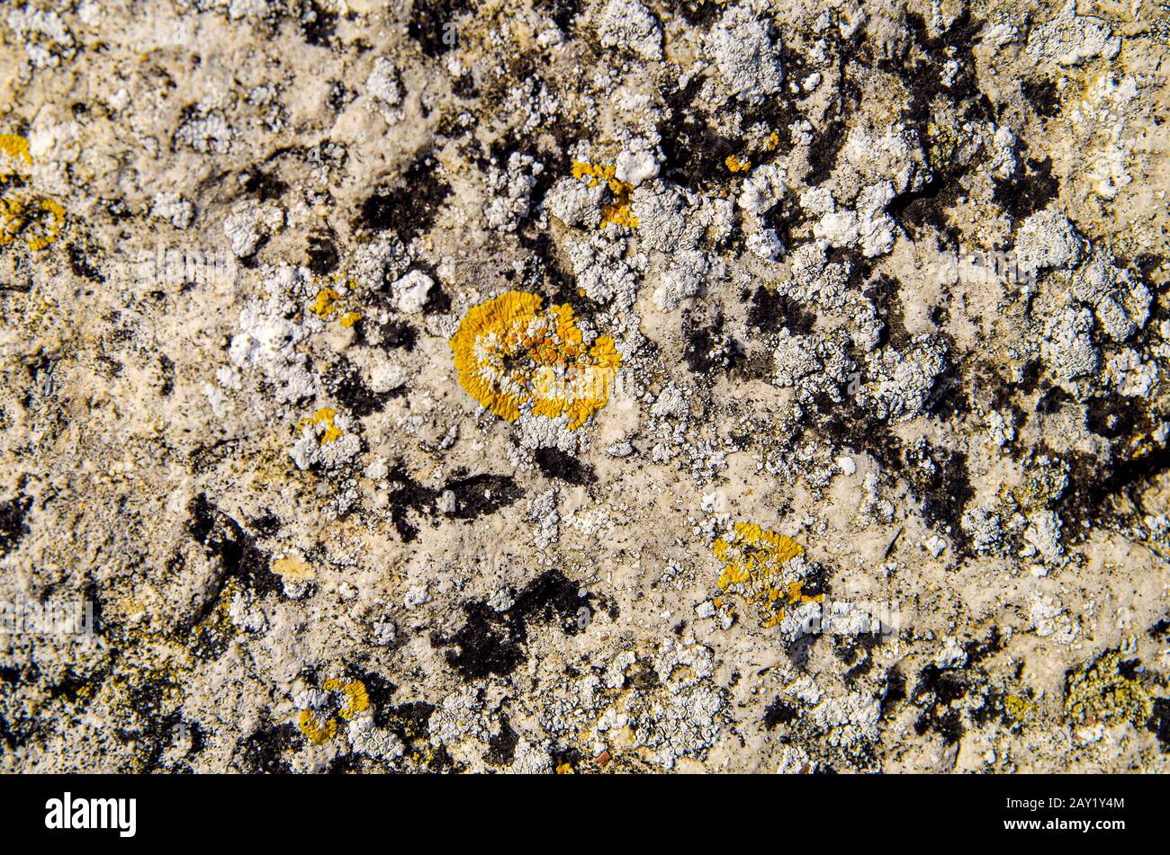 Color rock close up. Natural forms in stone structure. Background ...