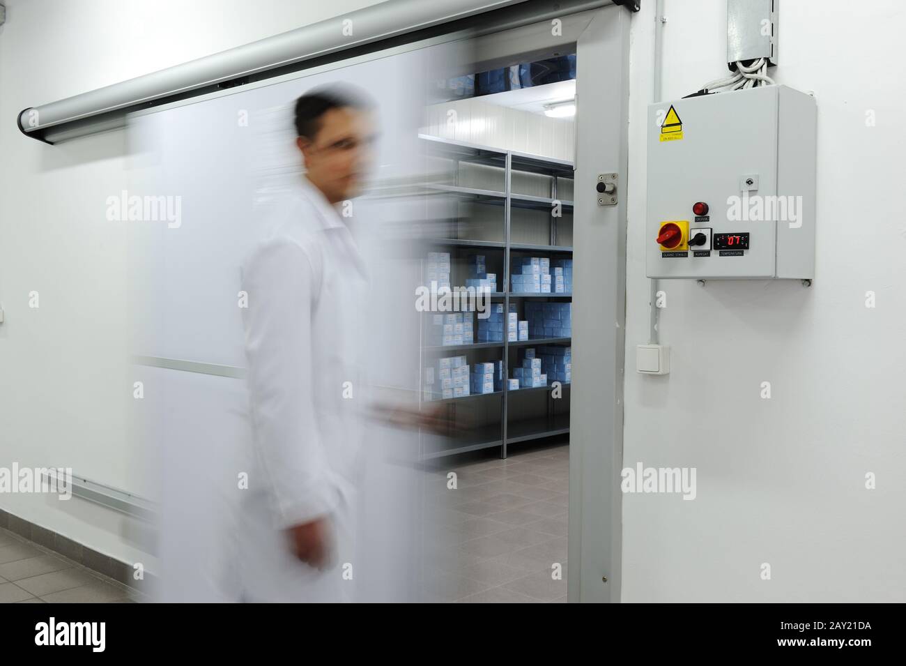 Young worker opening  door of industrial refrigerator Stock Photo
