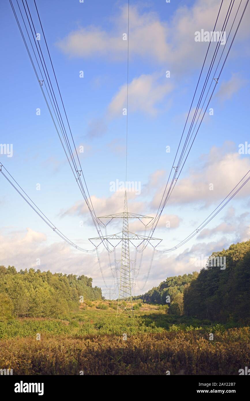 High-voltage line in the forest, Brandenburg, Germany Stock Photo