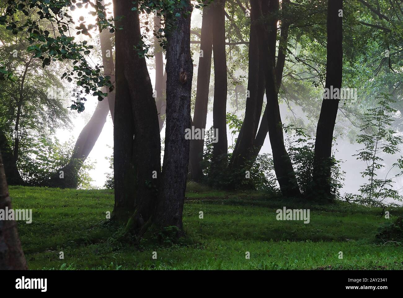 Beautiful morning light hi-res stock photography and images - Alamy