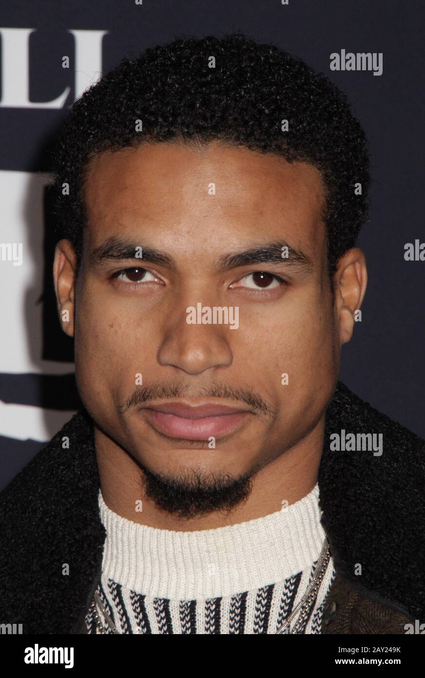 Los Angeles, USA. 13th Feb, 2020. Greg Tarzan Davis 02/13/2020 The World Premiere of 'The Call of the Wild' held at The El Capitan Theatre in Los Angeles, CA Credit: Cronos/Alamy Live News Stock Photo