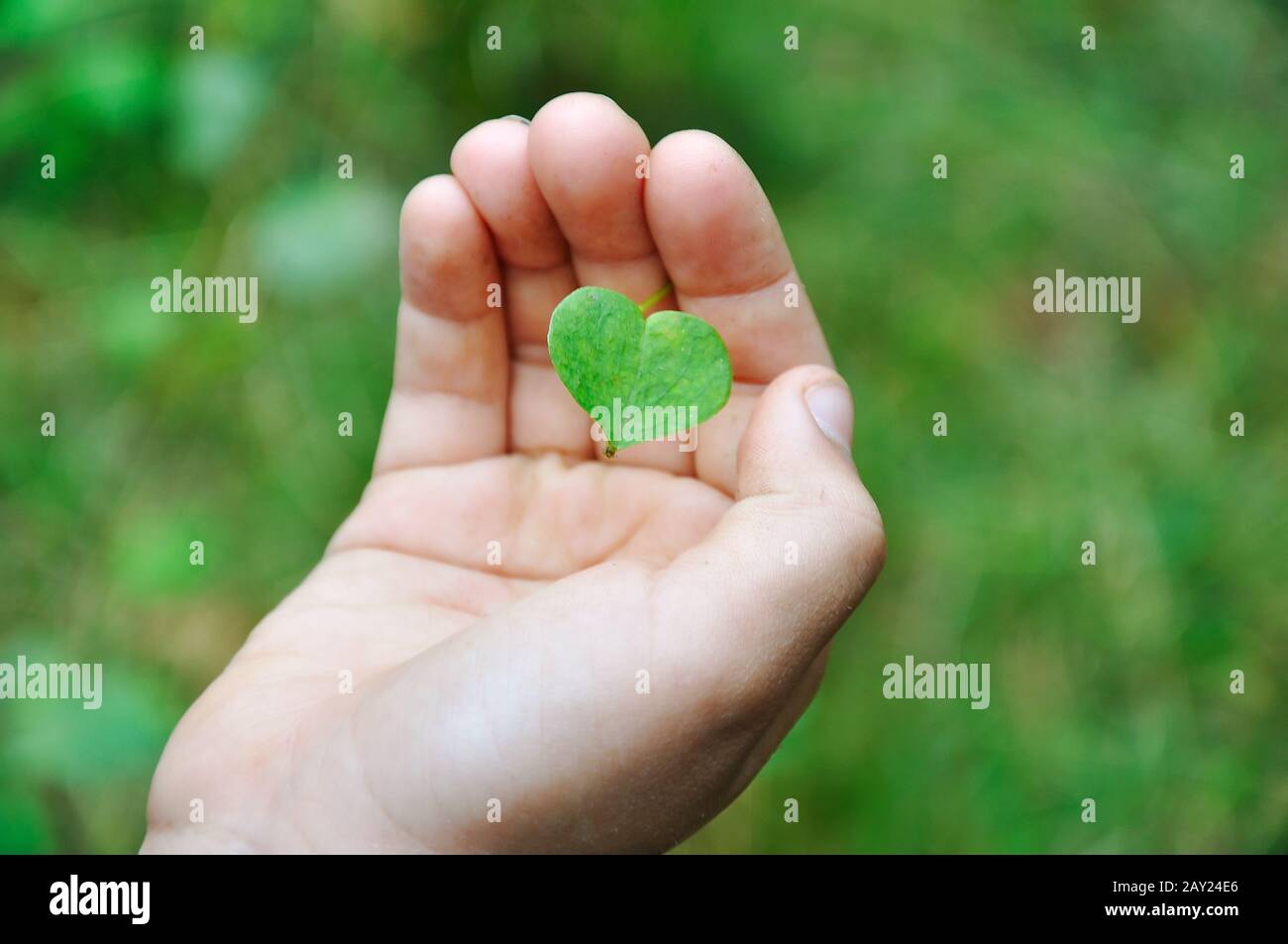Little cute girl holding plant in natural shape of heart Stock Photo