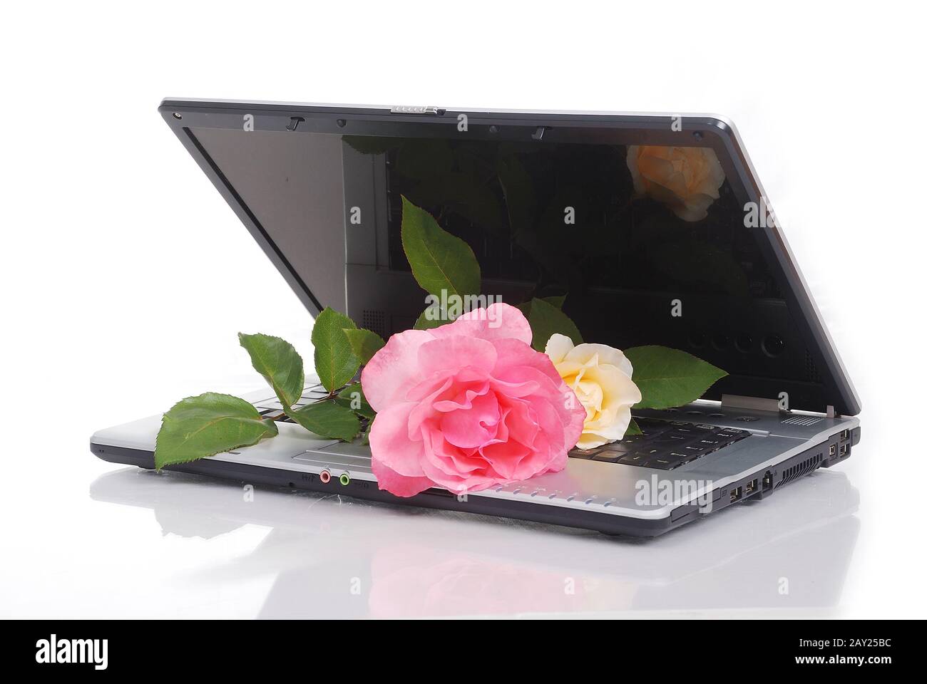 Beautiful roses and laptop Stock Photo - Alamy