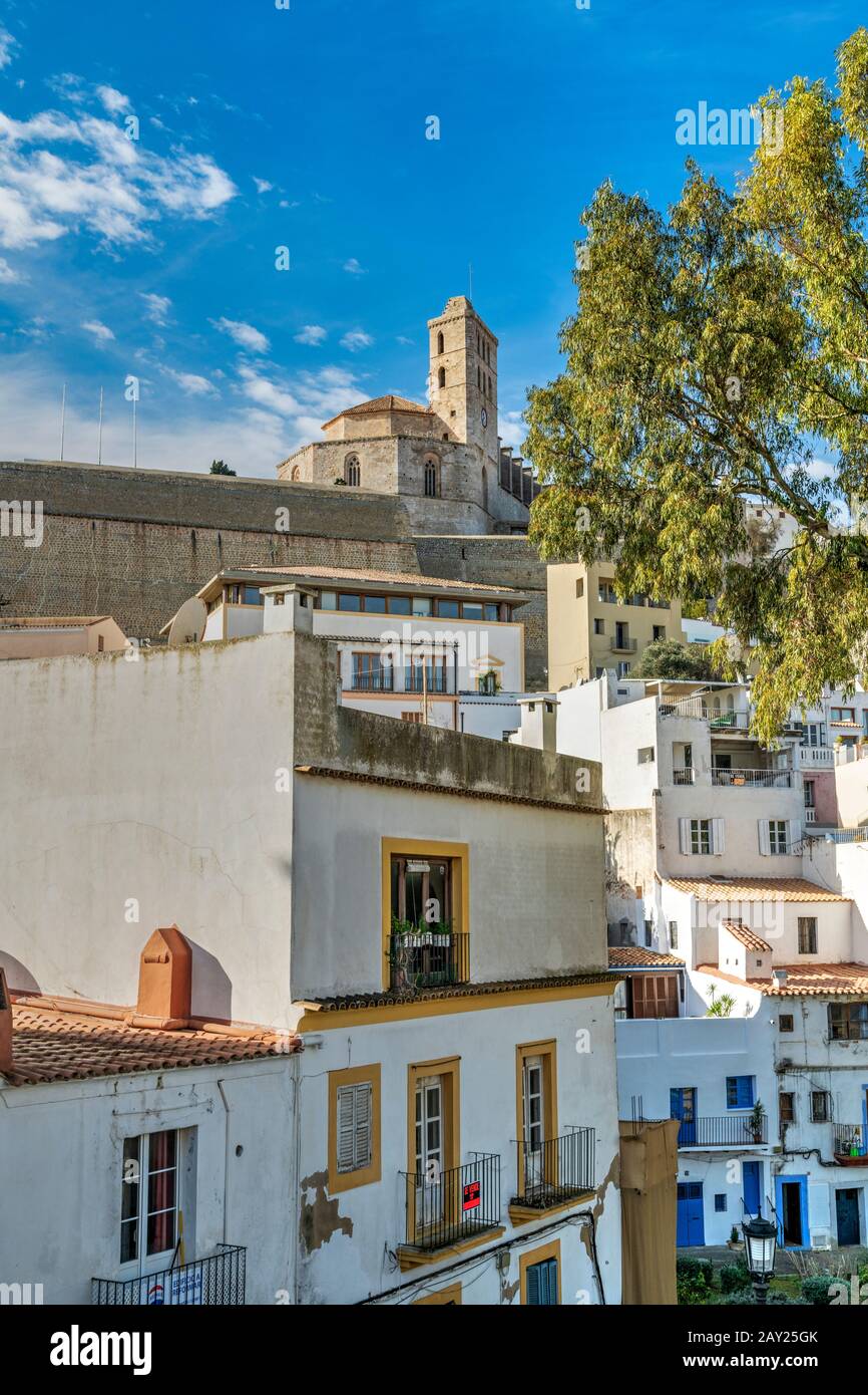 Cathedral and old town skyline, Dalt Vila, Ibiza, Balearic Islands, Spain Stock Photo