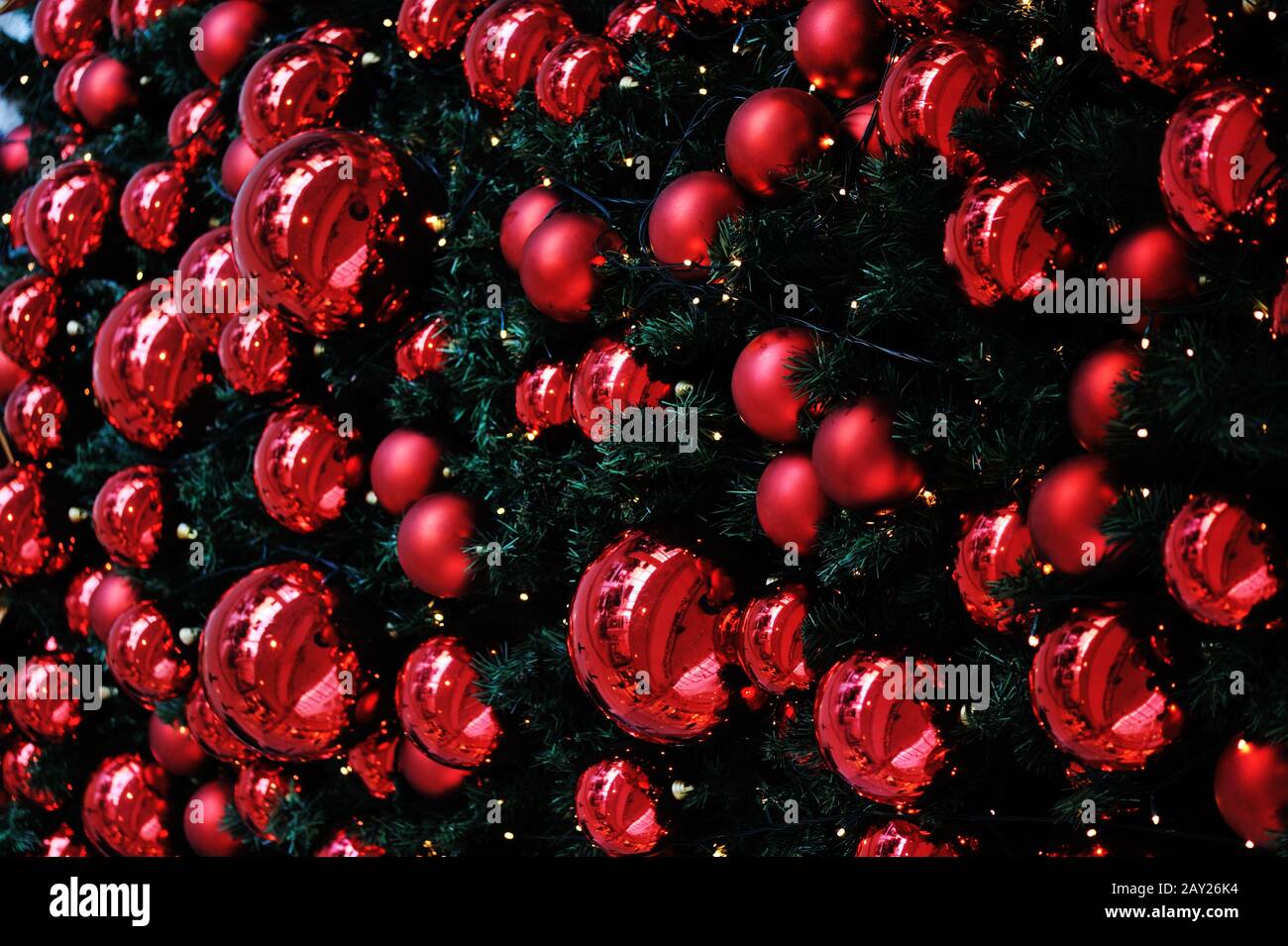 Christmas background with various of gifts and green fir tree Stock ...