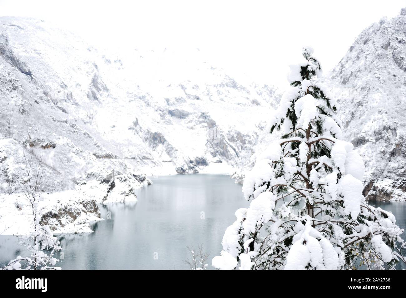 Tree lake forest snow winter Stock Photo Alamy