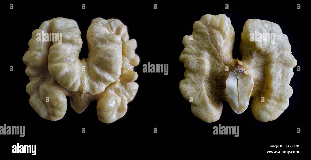 Collage of halves of walnut kernel on black background. One-click selection concept. Stock Photo