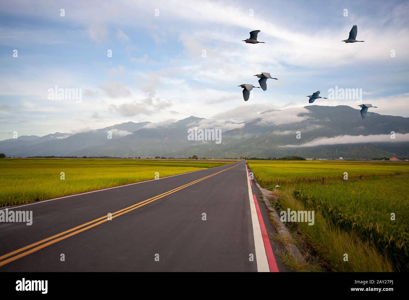 The Foggy morning in the mountains with flying birds over silhouettes of hills Stock Photo