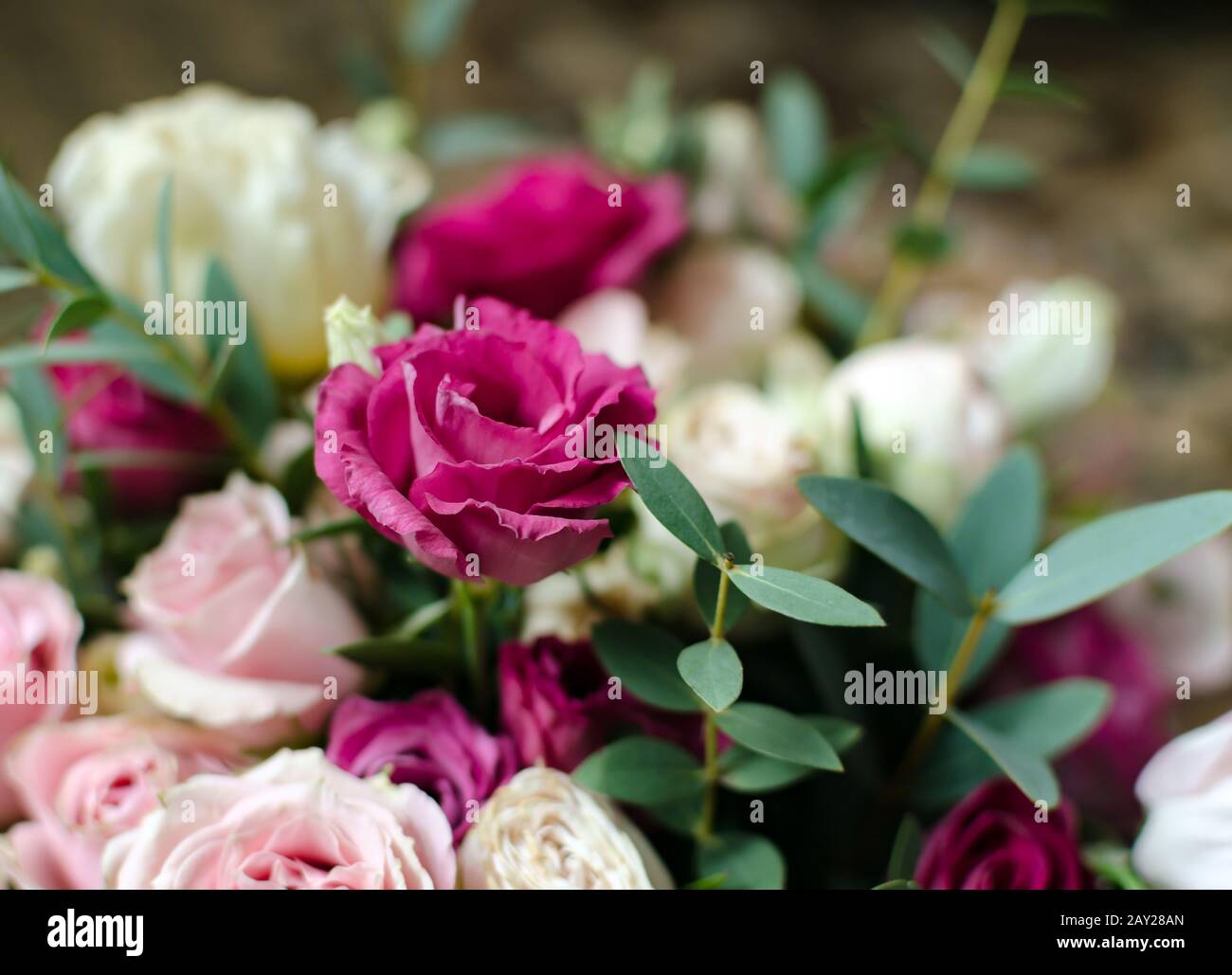 beautiful background with bright natural flowers, purple eustoma flower, closeup Stock Photo