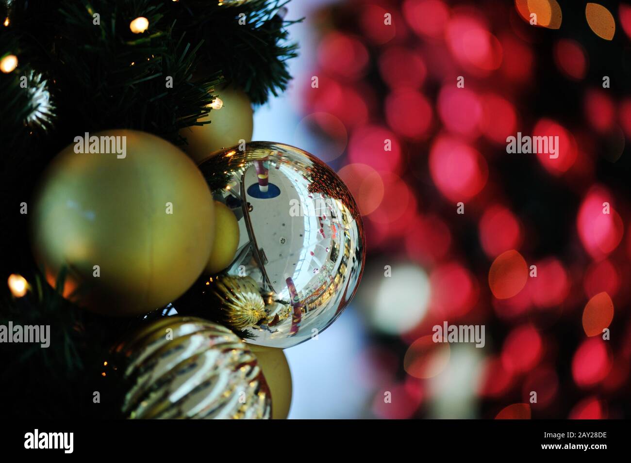 Christmas background with various of gifts and green fir tree Stock ...