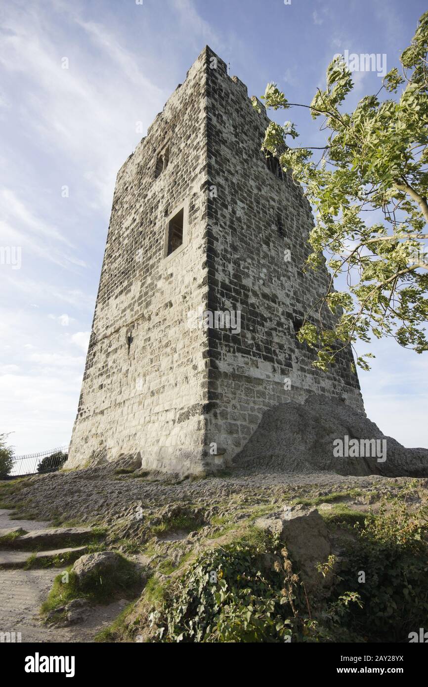 Castle-ruin Drachenfels, Siebengebirge, Koenigswin Stock Photo