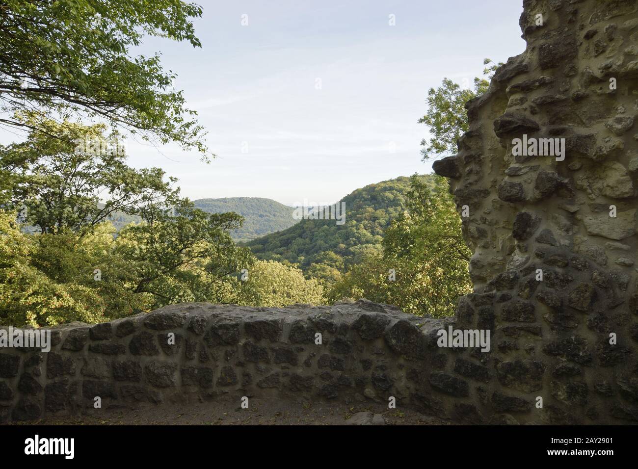 Castle-ruin Drachenfels, Siebengebirge, Koenigswin Stock Photo