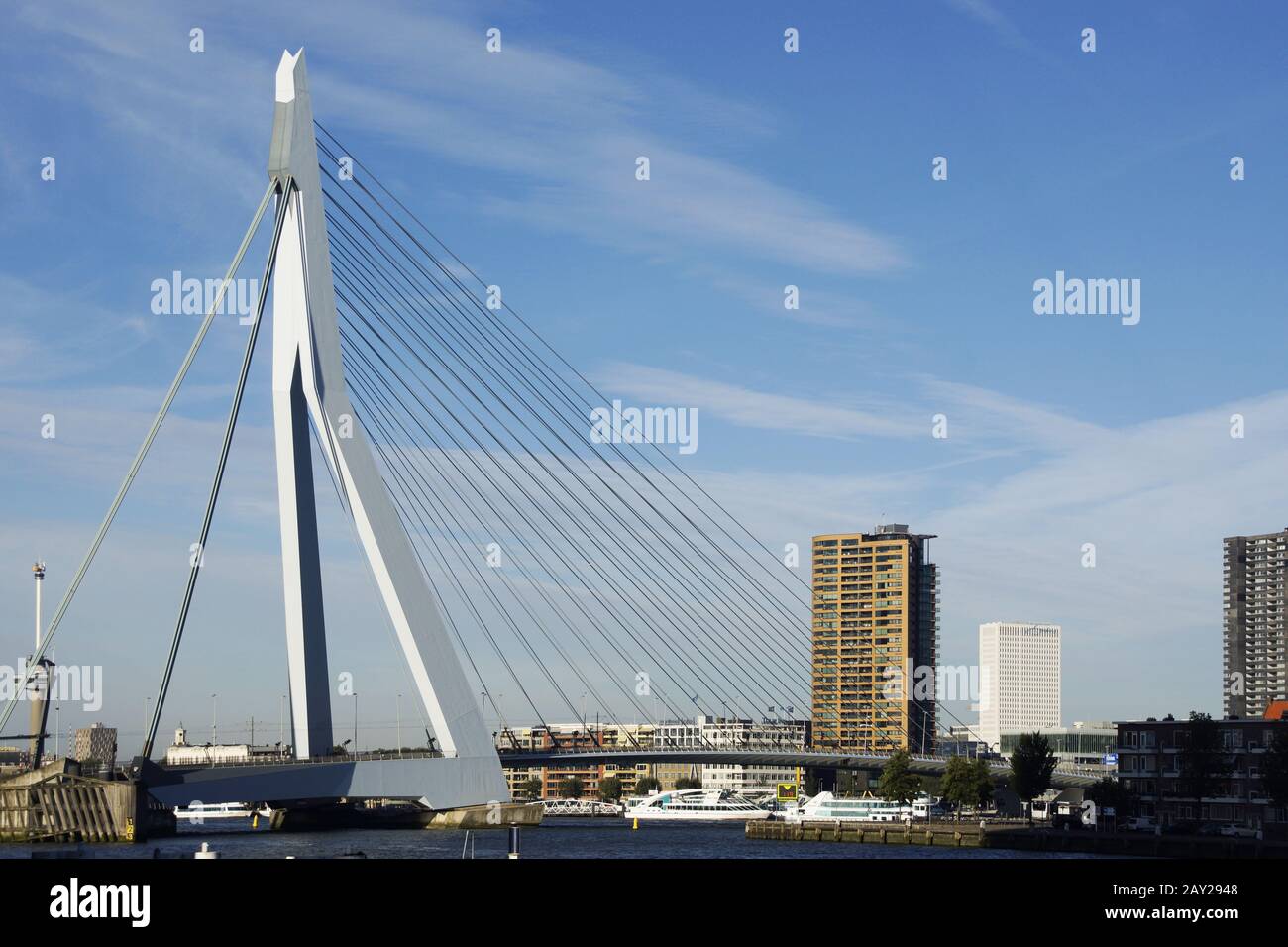 Erasmusbridge over the Nieuwe Maas in Rotterdam, N Stock Photo