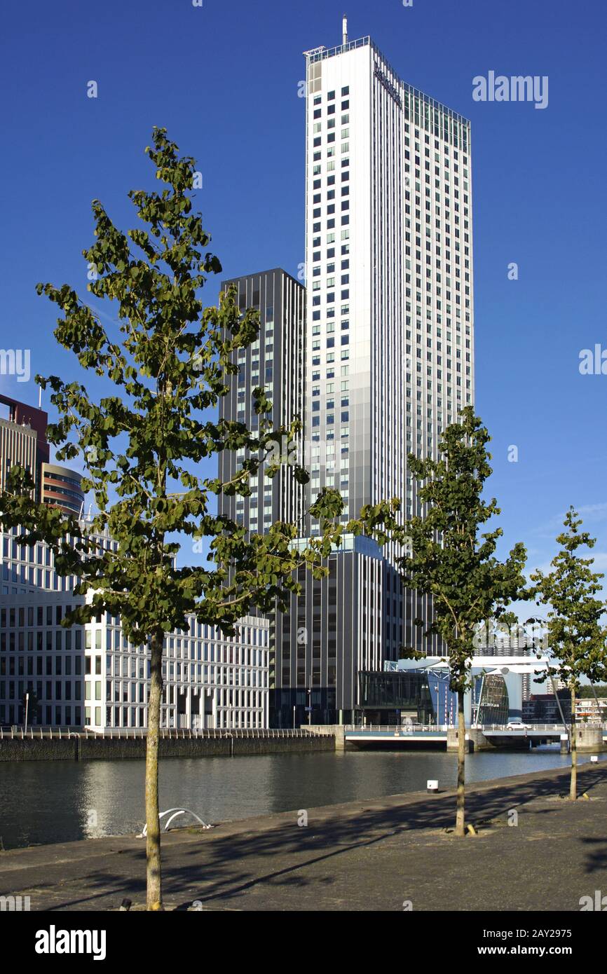 Skyline in Rotterdam, Kop van Zuid (with Maastoren Stock Photo