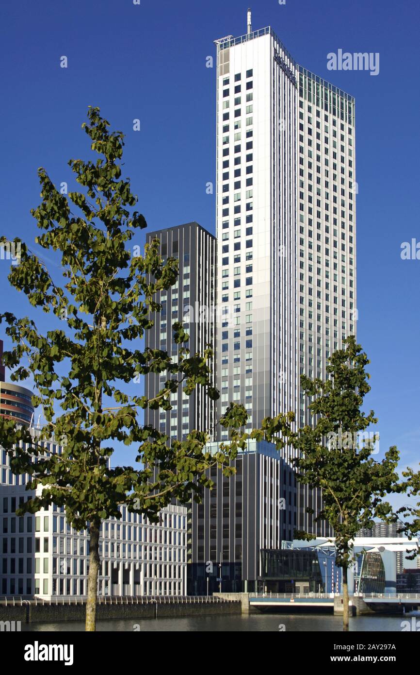 Skyline in Rotterdam, Kop van Zuid (with Maastoren Stock Photo