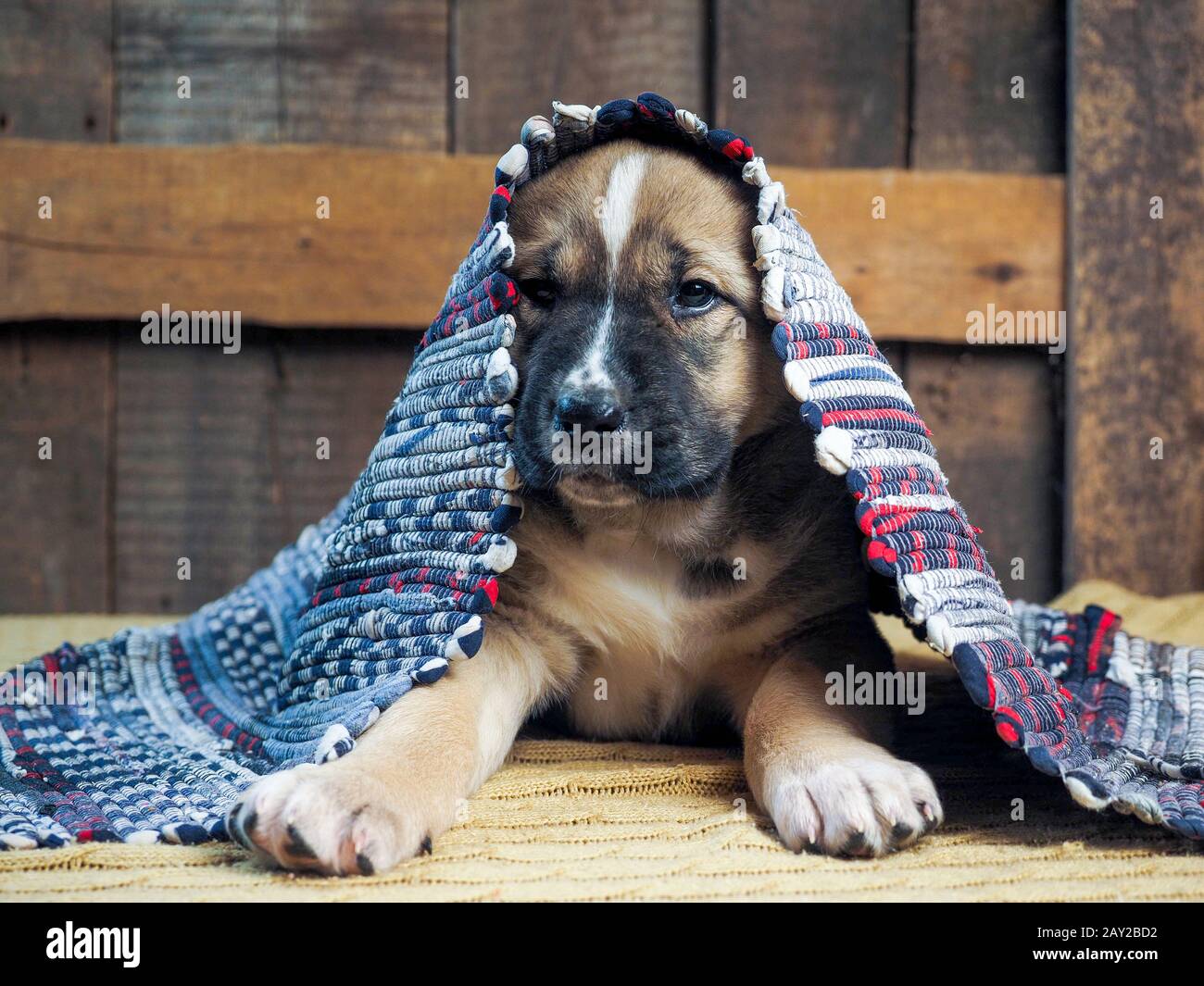 Under the rug hires stock photography and images Alamy
