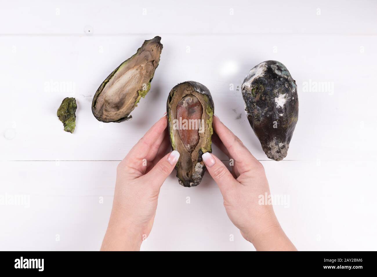 Stop wasting food concept, eating stale food. Female hand holding a moldy avocado. Stock Photo