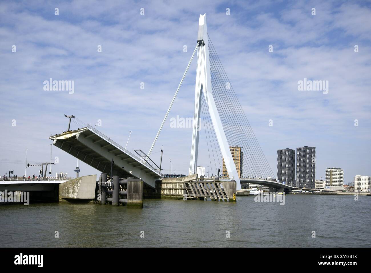 Erasmusbridge over the Nieuwe Maas in Rotterdam, N Stock Photo