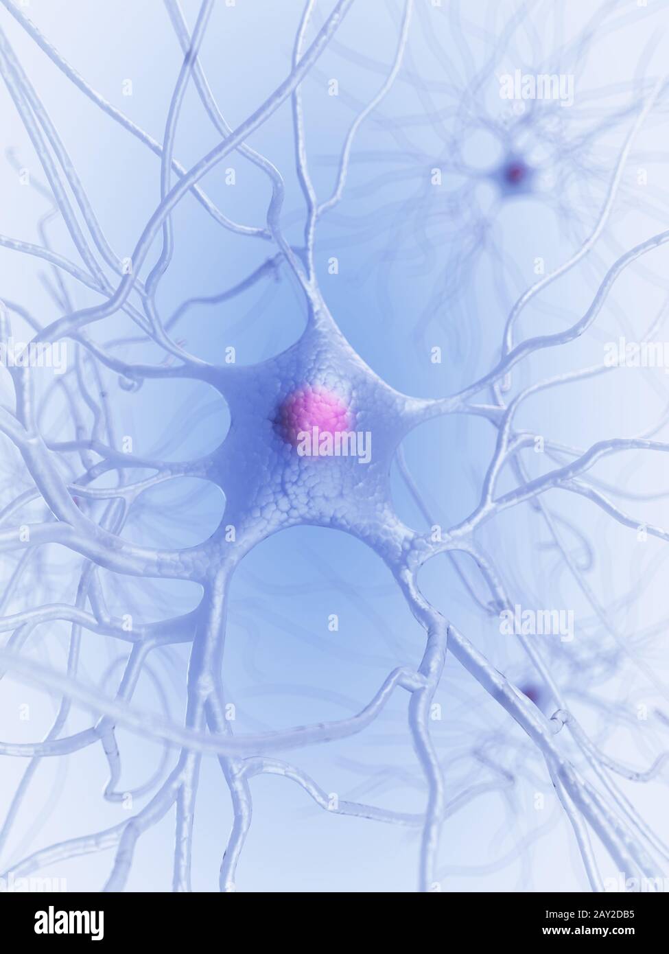 Human nerve cell hi-res stock photography and images - Alamy